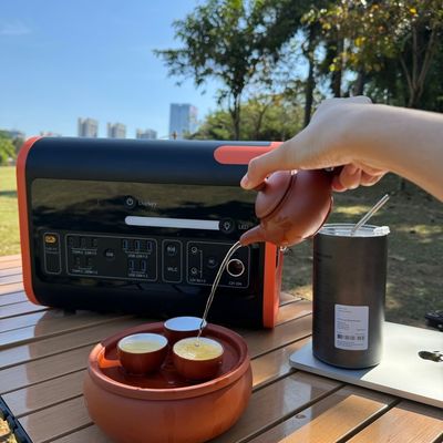 Viaggio Portatile di stoccaggio dell'energia di litio alimentazione con 51.52V40ah 3.22V*16s batteria